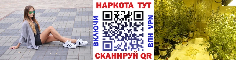 Как найти закладки Закаменск Cocaine  СК  Амфетамин  Бошки Шишки  блэк спрут   ГАШ  Меф мяу мяу 