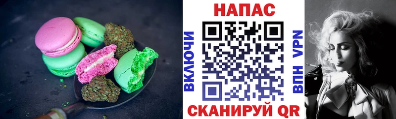 Canna-Cookies конопля  купить наркотики сайты  Закаменск 