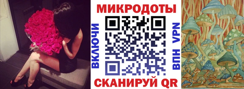 blacksprut зеркало Закаменск Псилоцибиновые грибы ЛСД